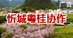 忻城粵桂協(xié)作